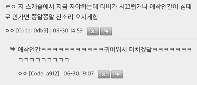 고양이들-자기만의-스케쥴-있는거-귀여움.jpg-4-이미지