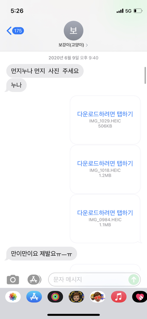 우리-집-고양이-보러-오는-동네-초딩-있거든-1-이미지