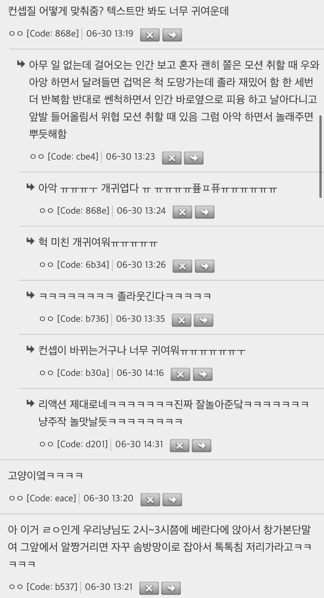 고양이들-자기만의-스케쥴-있는거-귀여움.jpg-2-이미지