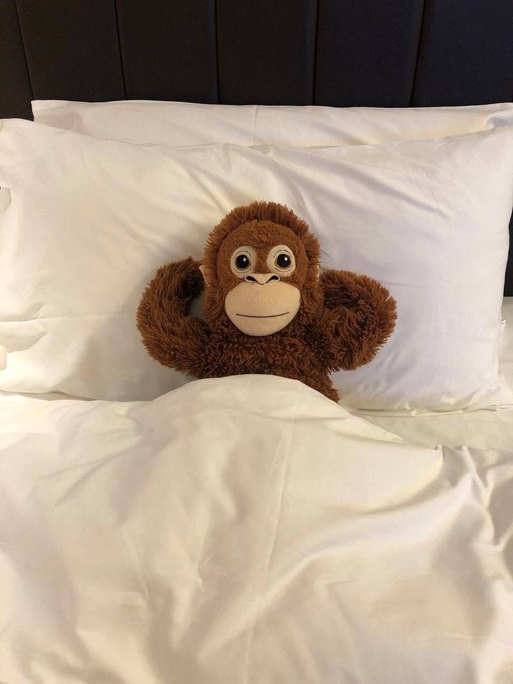 회사에-가지-않은지-3일째.twt-0-이미지