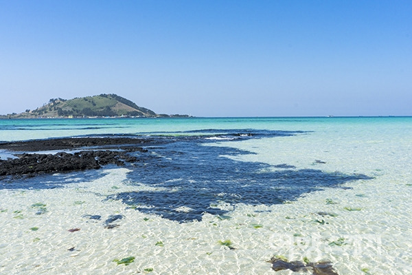 제주도랑-동남아-애초에-비교가-안된다고-생각하는-달글-13-이미지