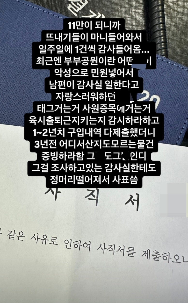 인스타-공무원-인플루언서-계속-감사들어와서-결국-면직-0-이미지
