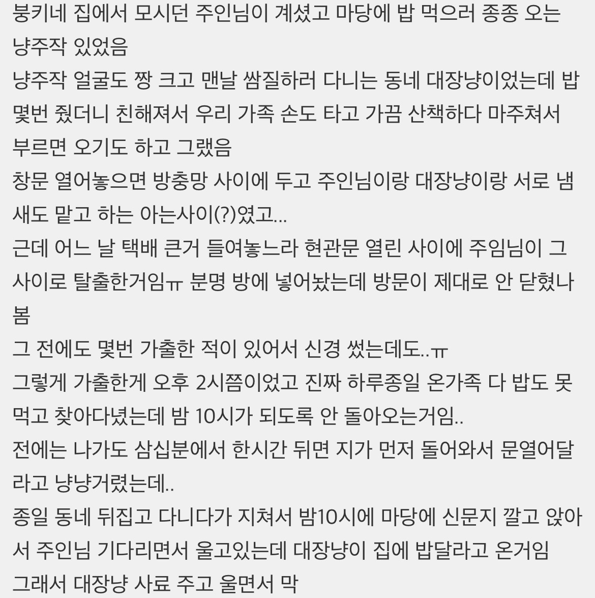 고양이-가출했을-때-대장고양이에게-찾아달라-한-썰-0-이미지