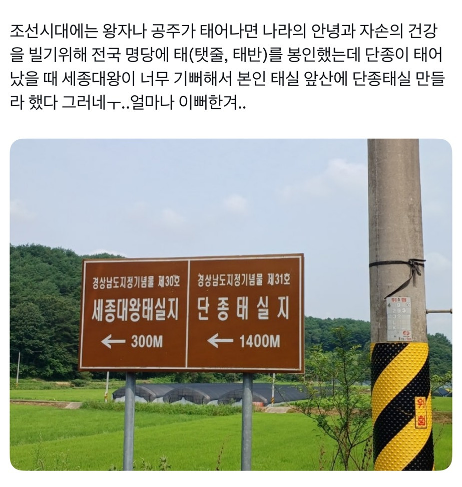 왕과-사는-남자-왕사남-나-혼자-과몰입-모음-22-이미지