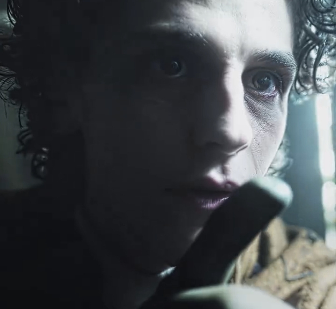 팀버튼이-보고-박수쳤을-상이라는-'웬즈데이'-출연배우-5-이미지