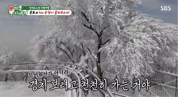 세상에서-가장-느린-롤러코스터-9-이미지