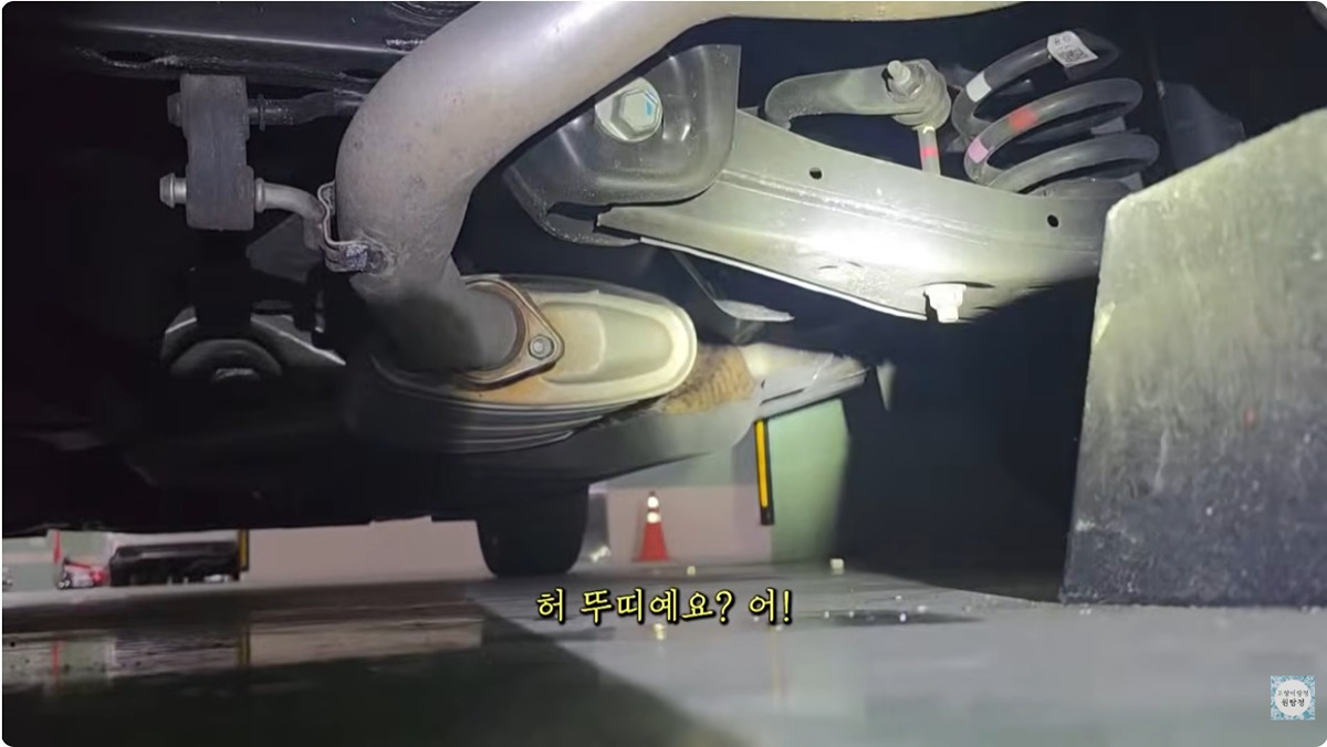 잃어버린-고양이를-찾는데-주위-사람들이-다-따뜻하다-4-이미지