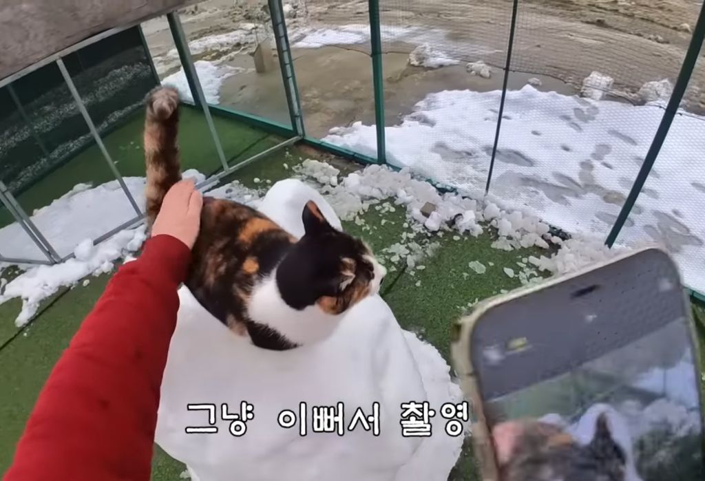 하하하-삼색이-모음-42-이미지