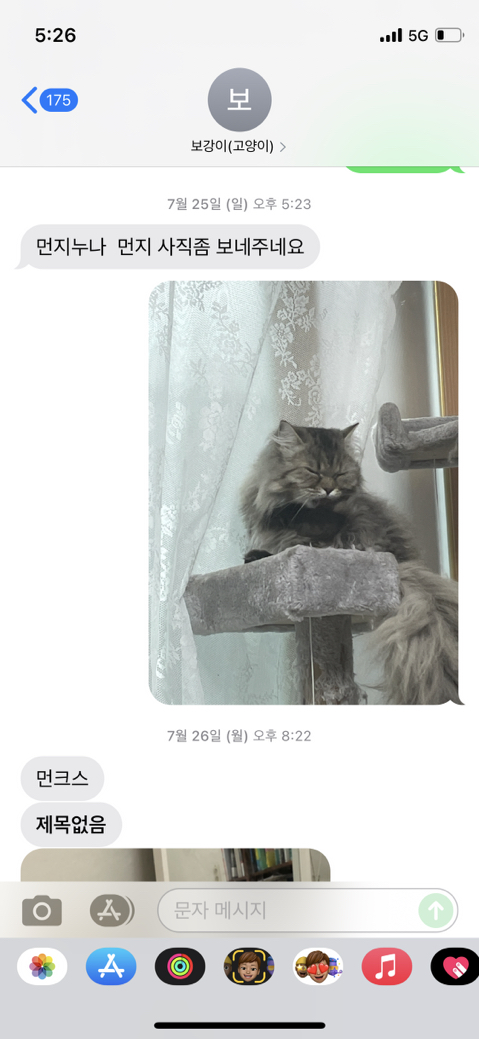 우리-집-고양이-보러-오는-동네-초딩-있거든-6-이미지