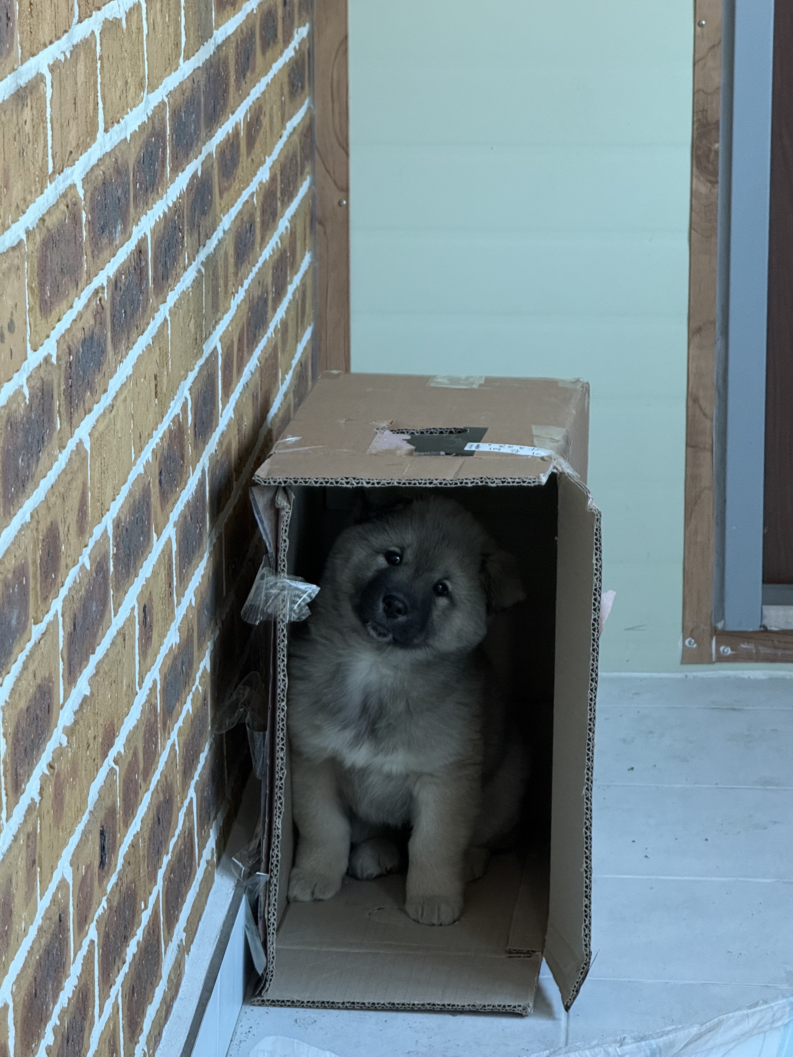 아빠가-친구네서-갑자기-델고옴;;-0-이미지