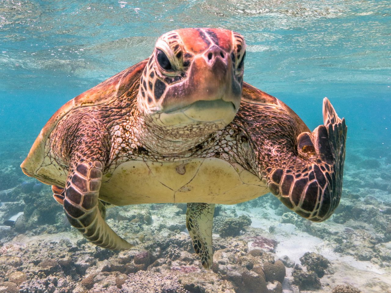 사람들이-잘-모르는-거북목,-목-디스크-증상-5-이미지