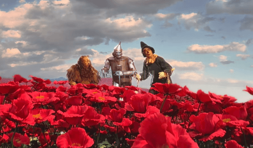 관객들이-매우-만족한다는-4DX-영화-4-이미지