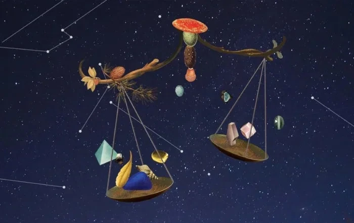 <수잔-밀러>-2월-셋째-주-별자리-운세-12-이미지