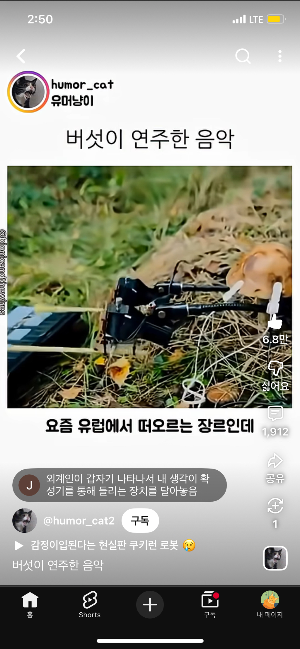 버섯들끼리는-소통한다-0-이미지