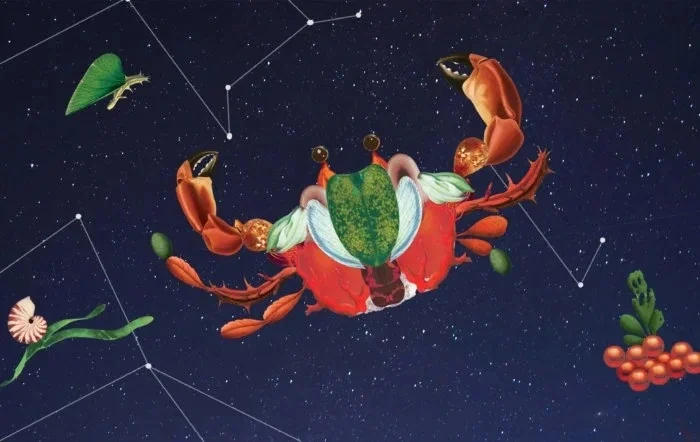 <수잔-밀러>-2월-셋째-주-별자리-운세-6-이미지