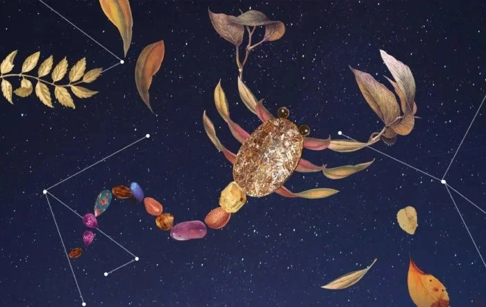 <수잔-밀러>-2월-셋째-주-별자리-운세-14-이미지