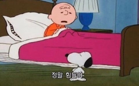 독립한-이후에-느껴지는-’집에-와서-쉬어‘의-차이-0-이미지