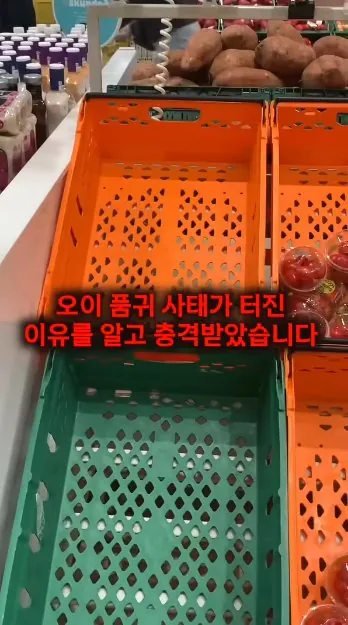 한국-반찬때문에-아이슬란드-전역에-터진-'오이-품귀'-사태-1-이미지