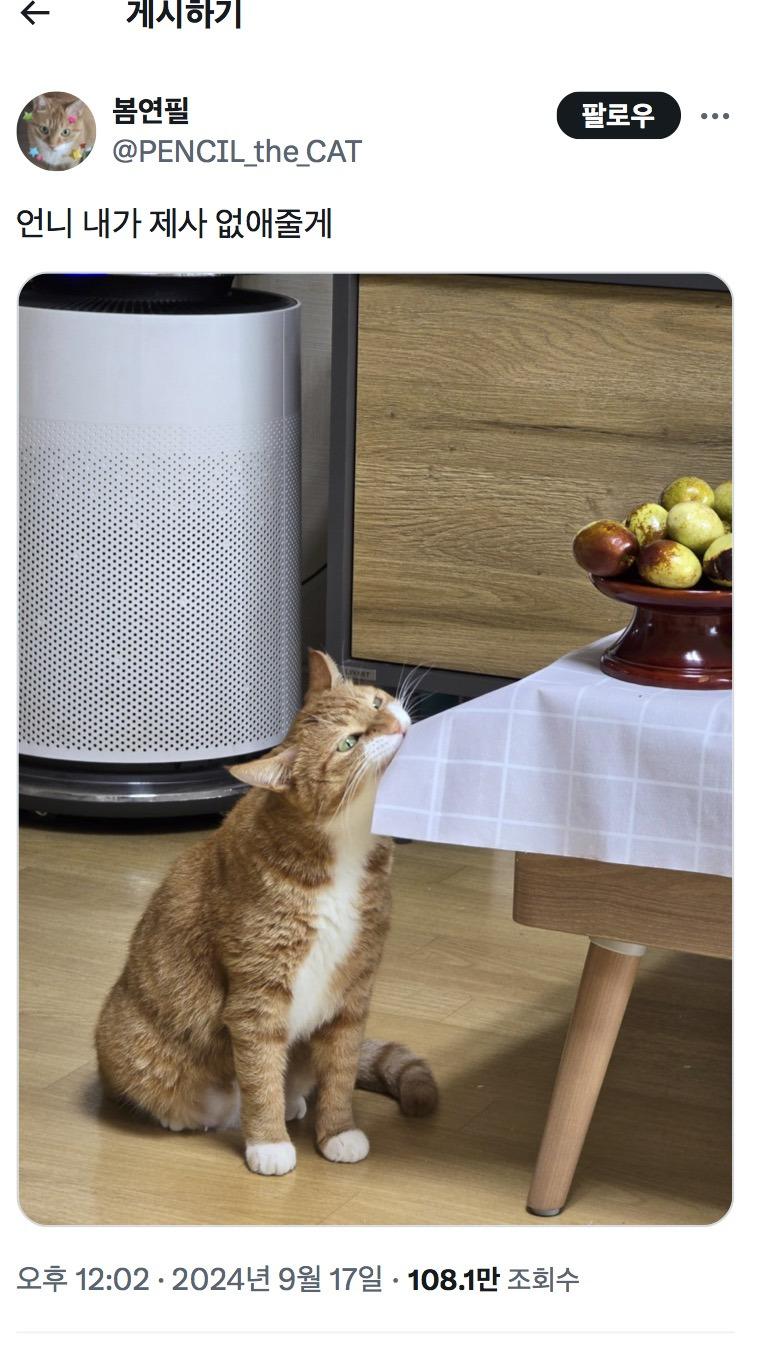 언니-내가-제사-없애줄게-0-이미지