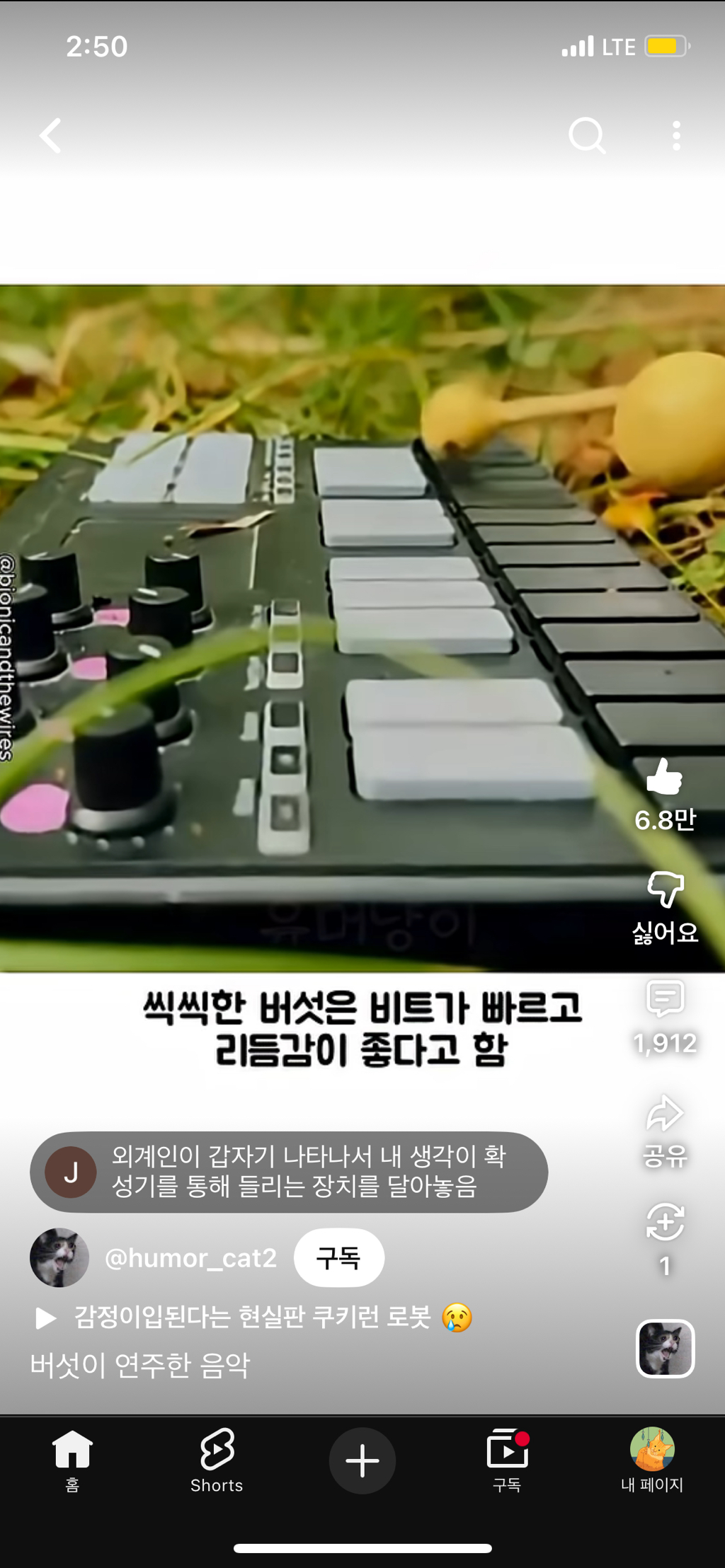 버섯들끼리는-소통한다-5-이미지