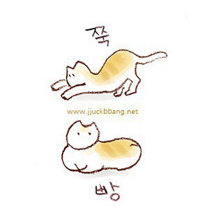 혼자-문-못열어서-친구-데려온-라쿤-0-이미지