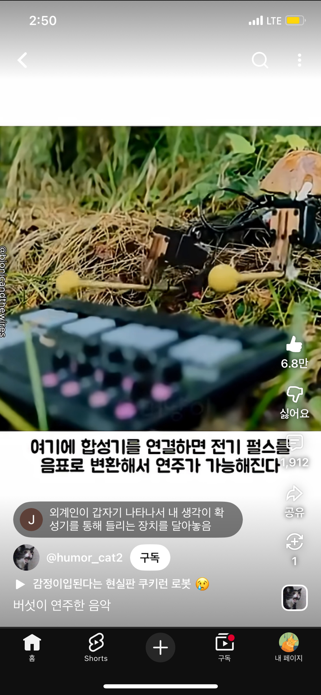 버섯들끼리는-소통한다-3-이미지