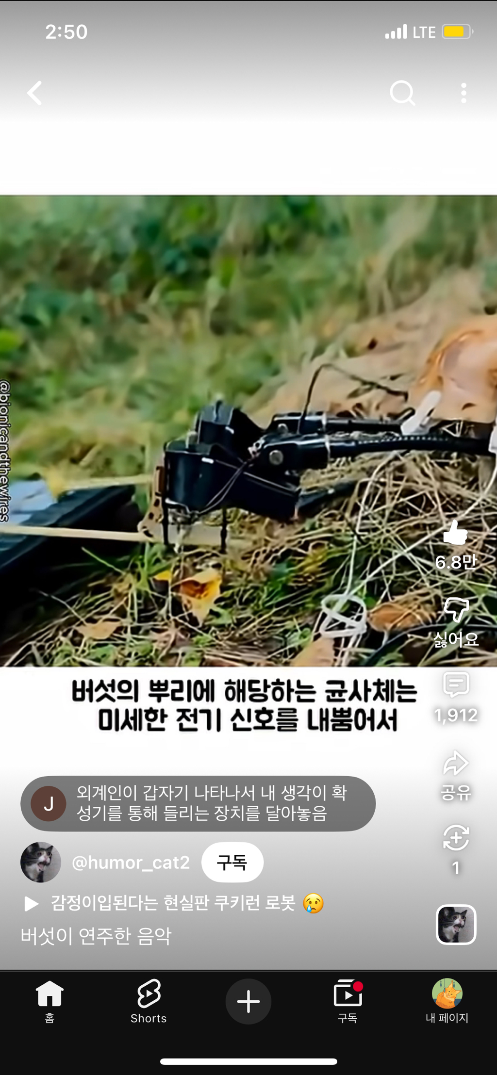 버섯들끼리는-소통한다-1-이미지