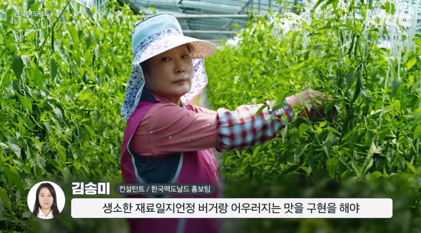 맥도날드-지역명-버거-특이점-11-이미지