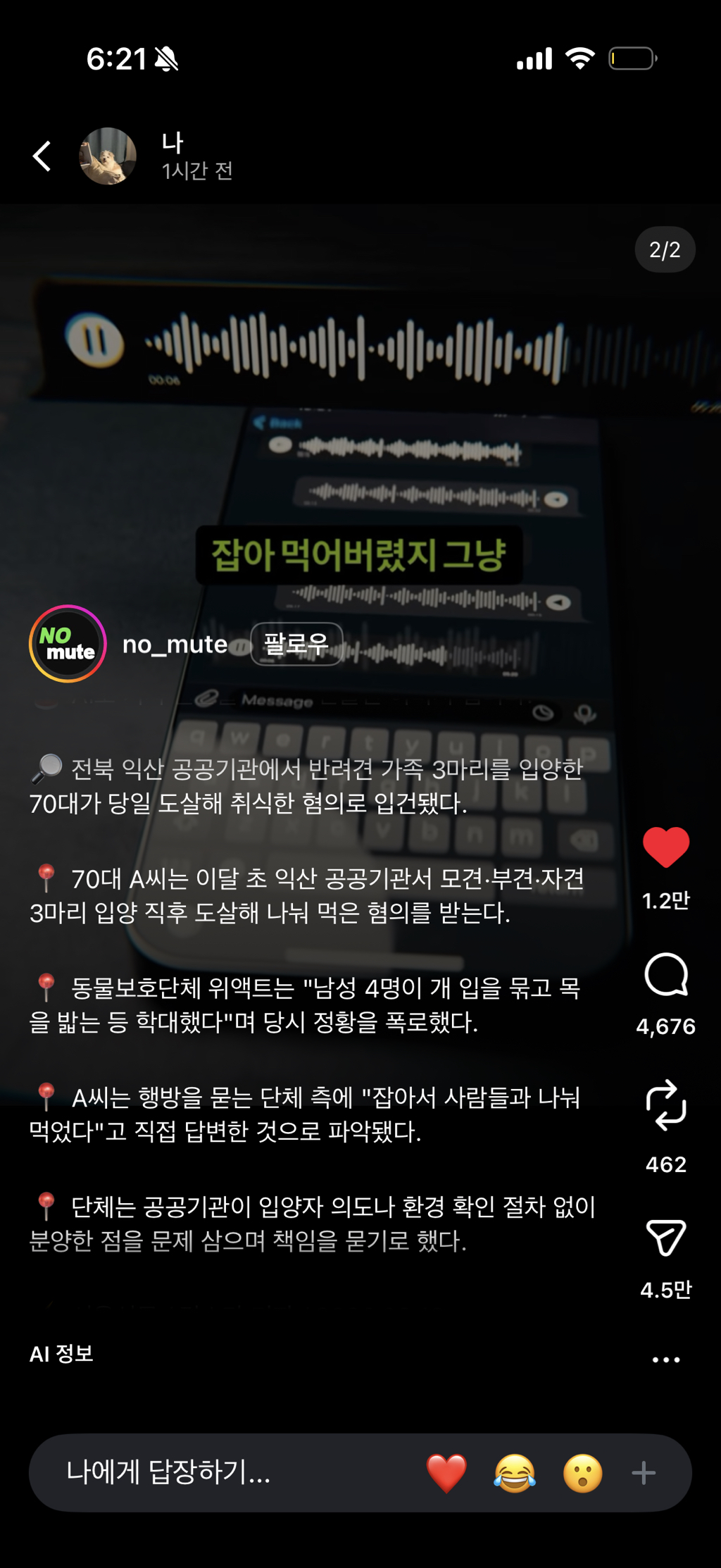 반려견-3마리-입양하자마자-저녁상에-올려-나눠먹은-0-이미지