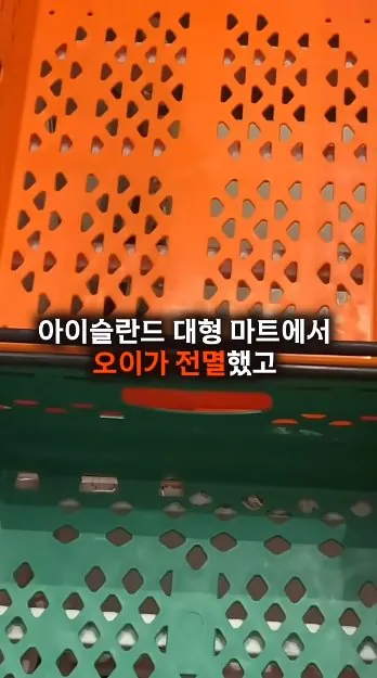 한국-반찬때문에-아이슬란드-전역에-터진-'오이-품귀'-사태-12-이미지