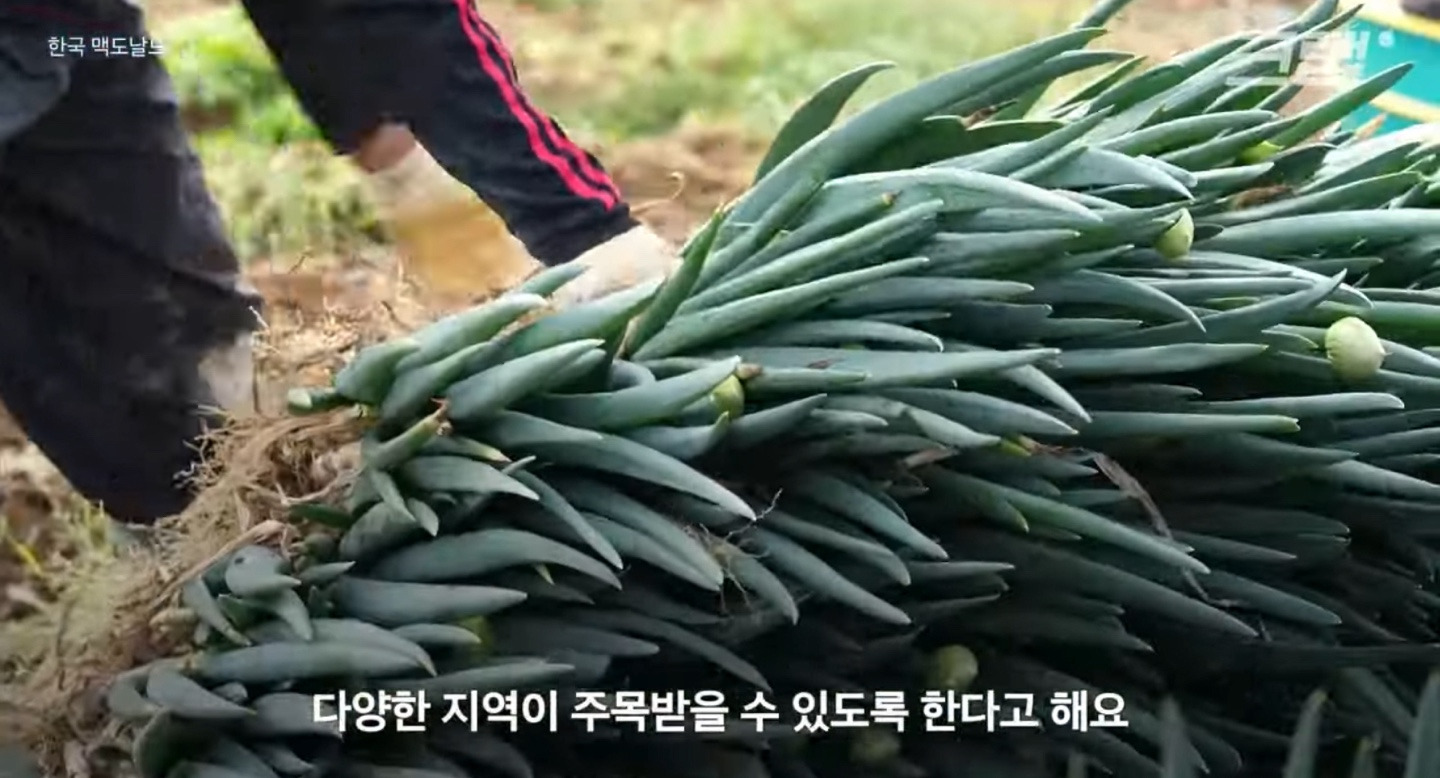 맥도날드-지역명-버거-특이점-4-이미지