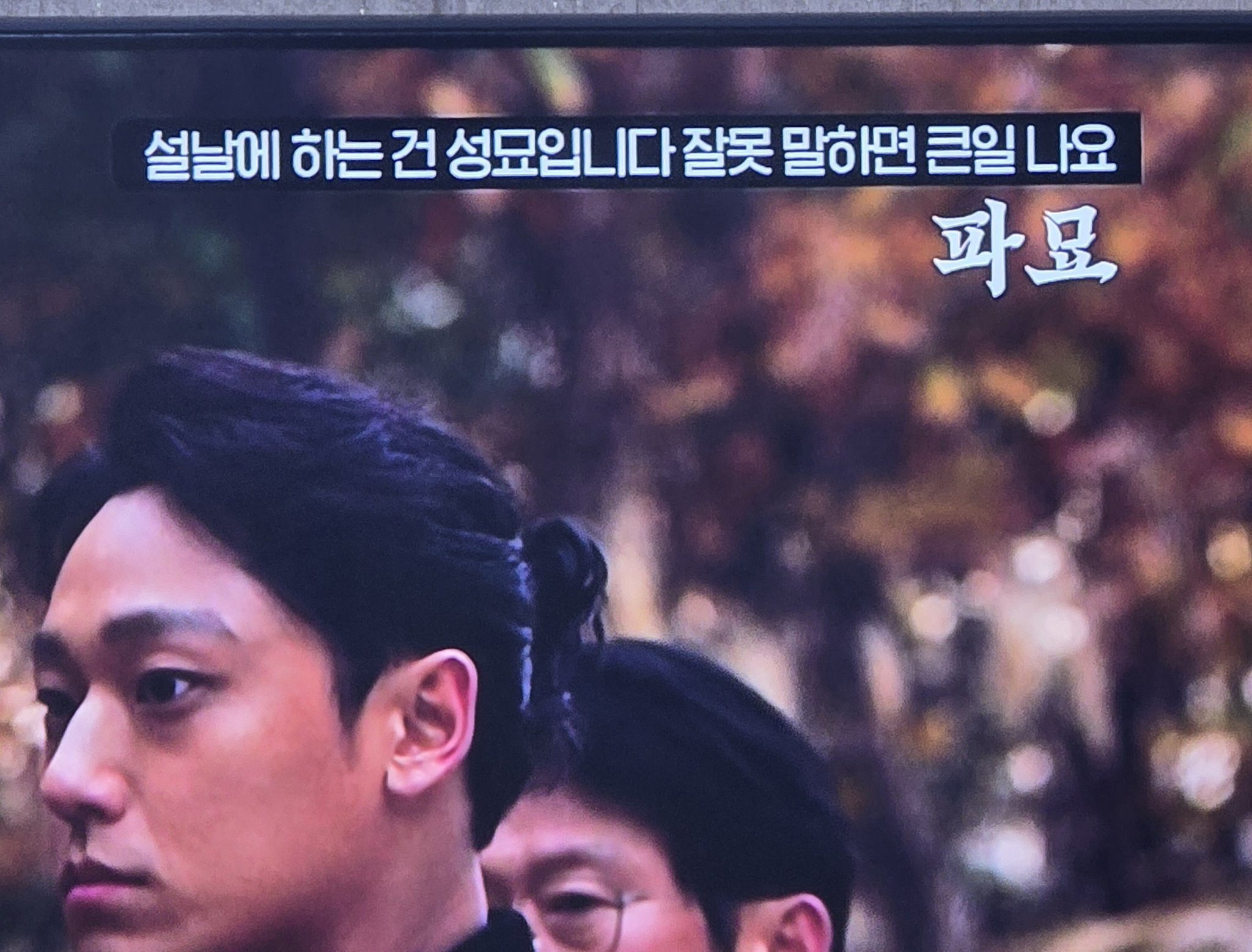 제목학원-OCN의-2026-설-자막-0-이미지