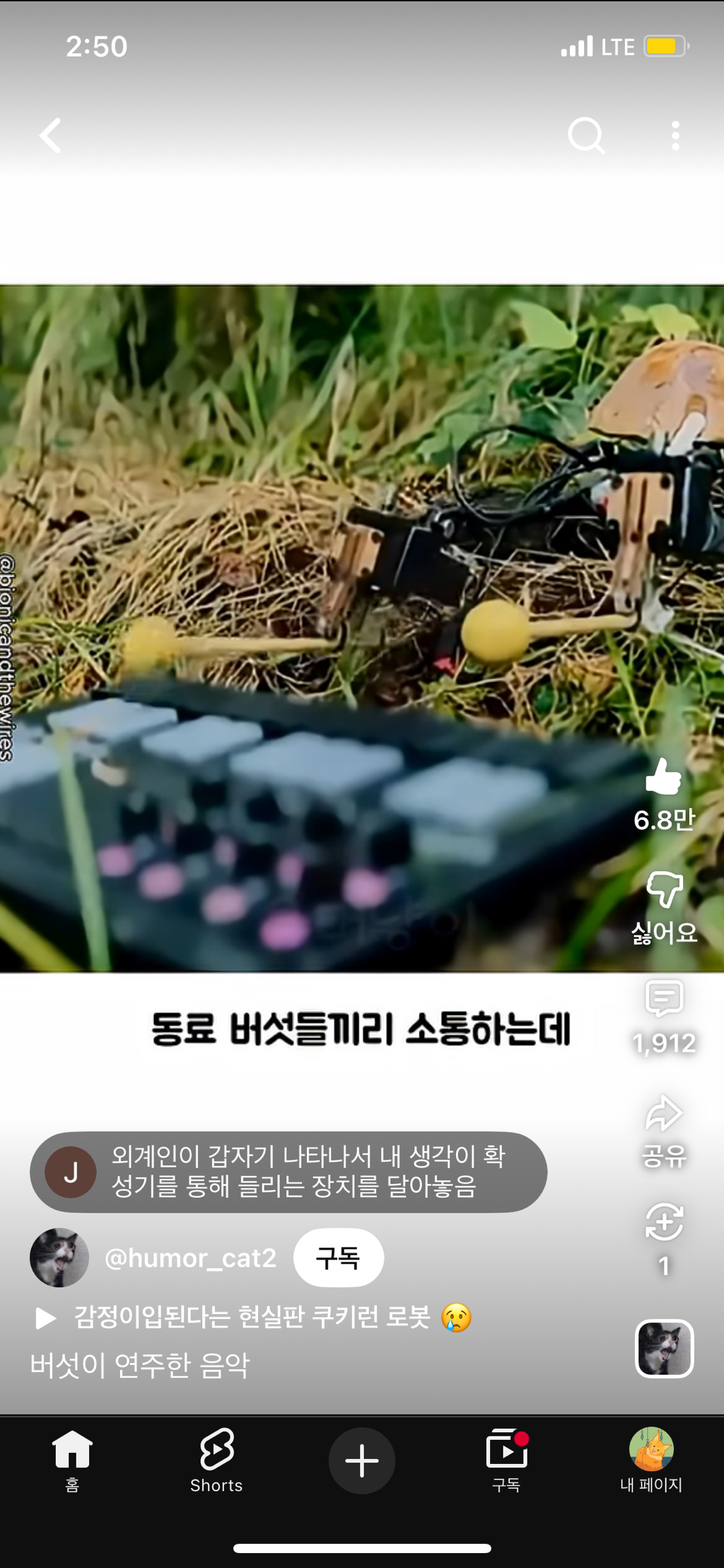 버섯들끼리는-소통한다-2-이미지