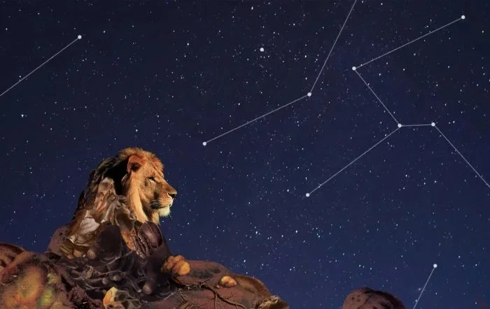 <수잔-밀러>-2월-셋째-주-별자리-운세-8-이미지