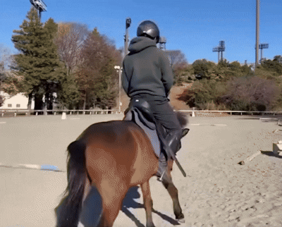 멀미-심한-사람-제발-이거-해주면-안돼?????-0-이미지