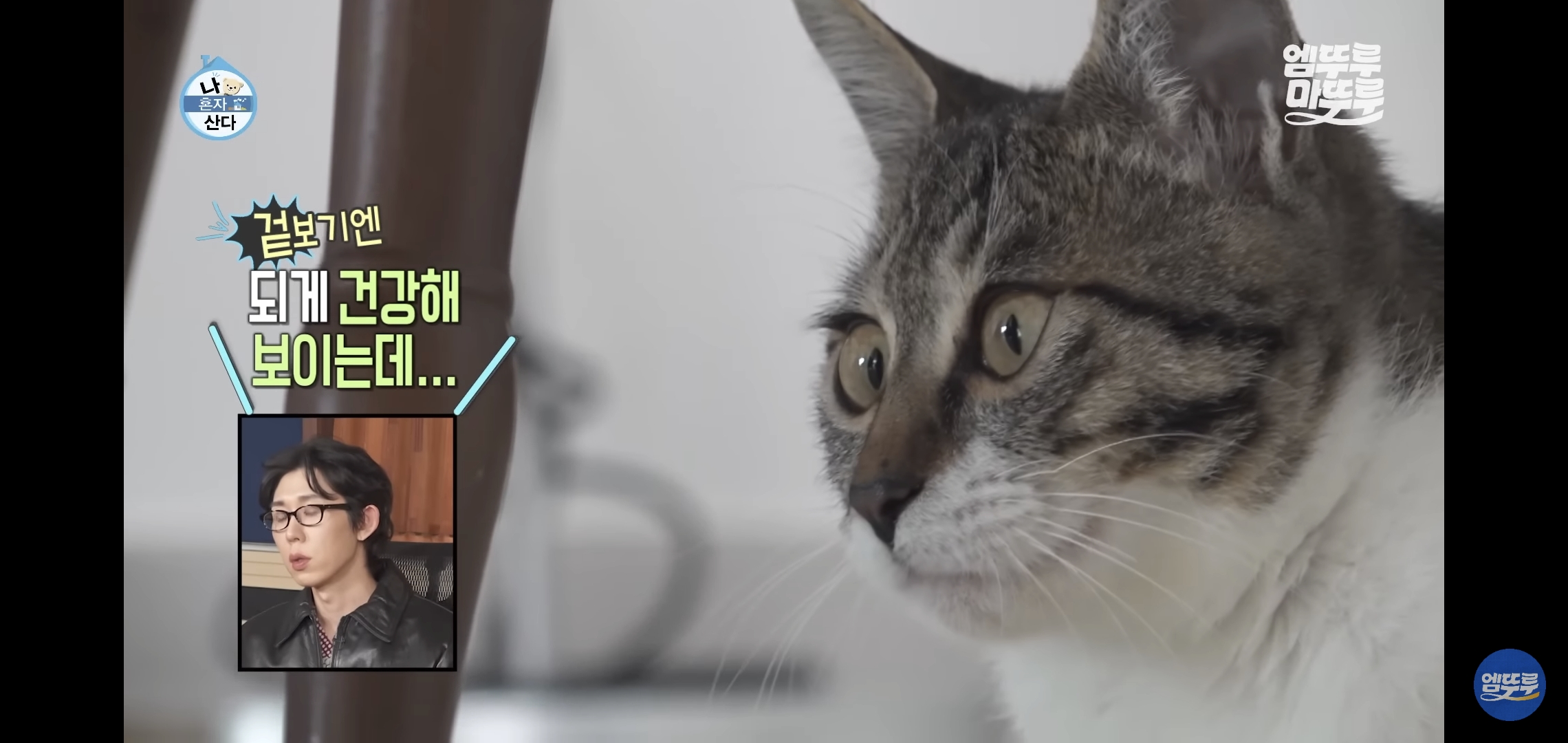 [나혼자산다]-최근-시각장애고양이-구조&입양한-배우-옥자연.jpg-15-이미지