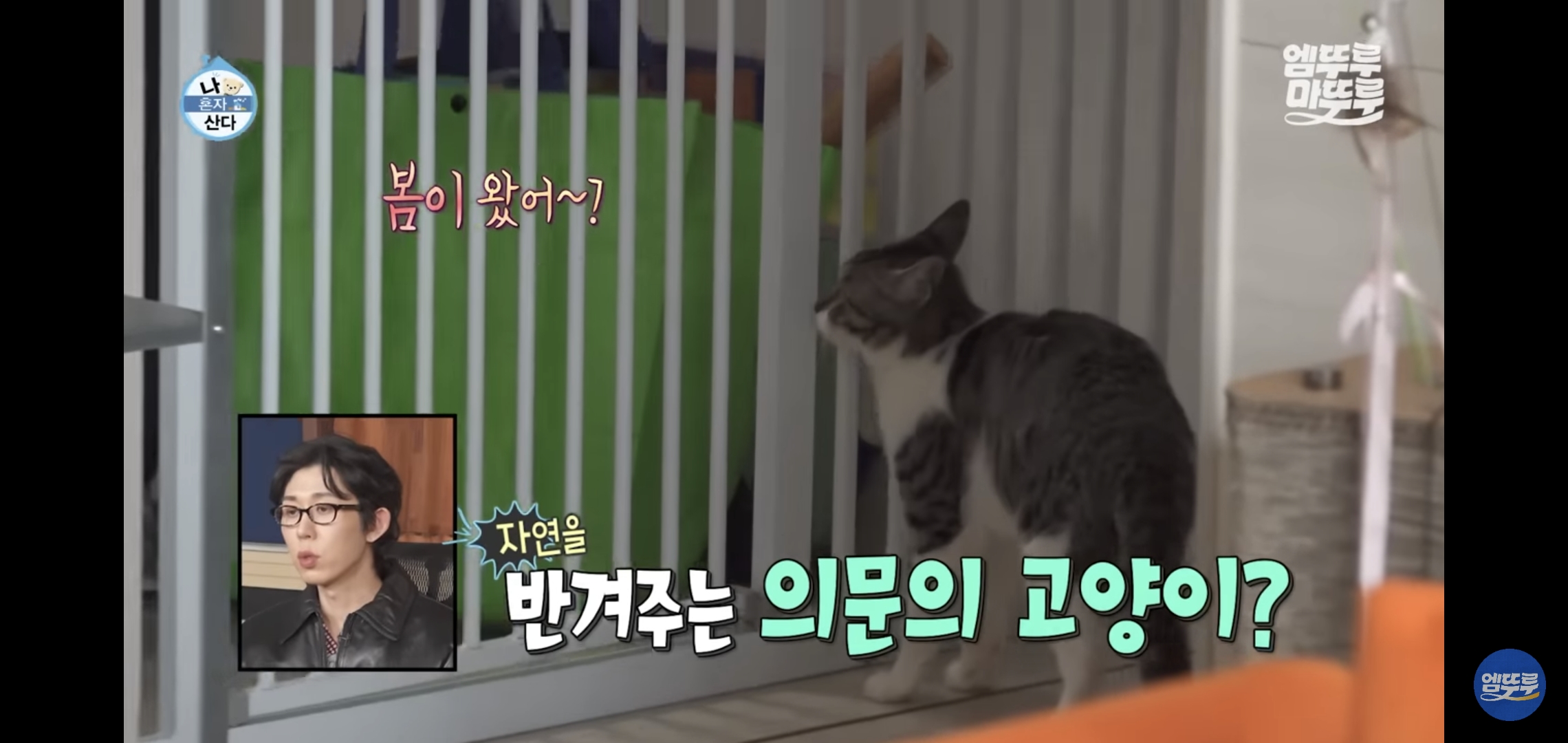 [나혼자산다]-최근-시각장애고양이-구조&입양한-배우-옥자연.jpg-0-이미지