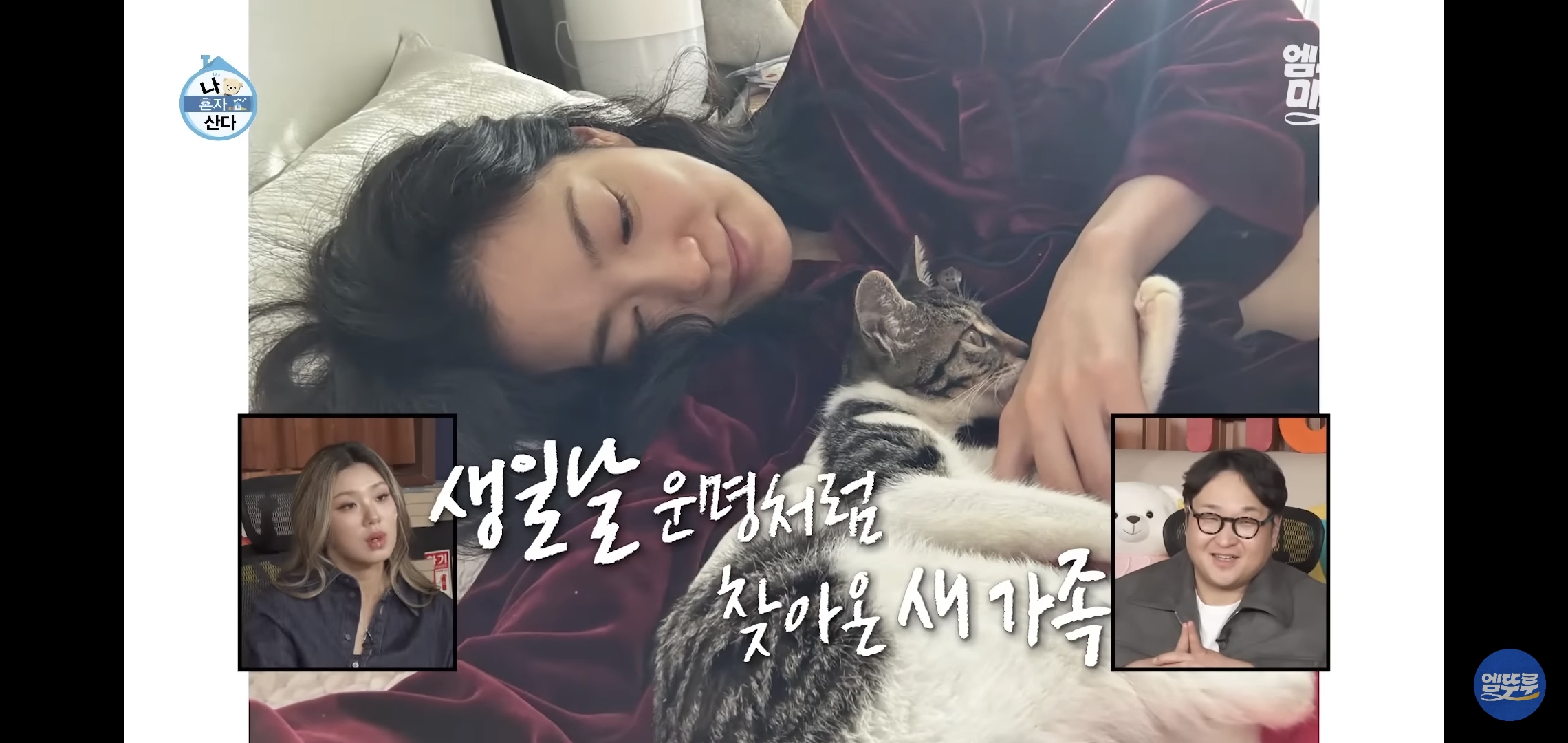 [나혼자산다]-최근-시각장애고양이-구조&입양한-배우-옥자연.jpg-20-이미지