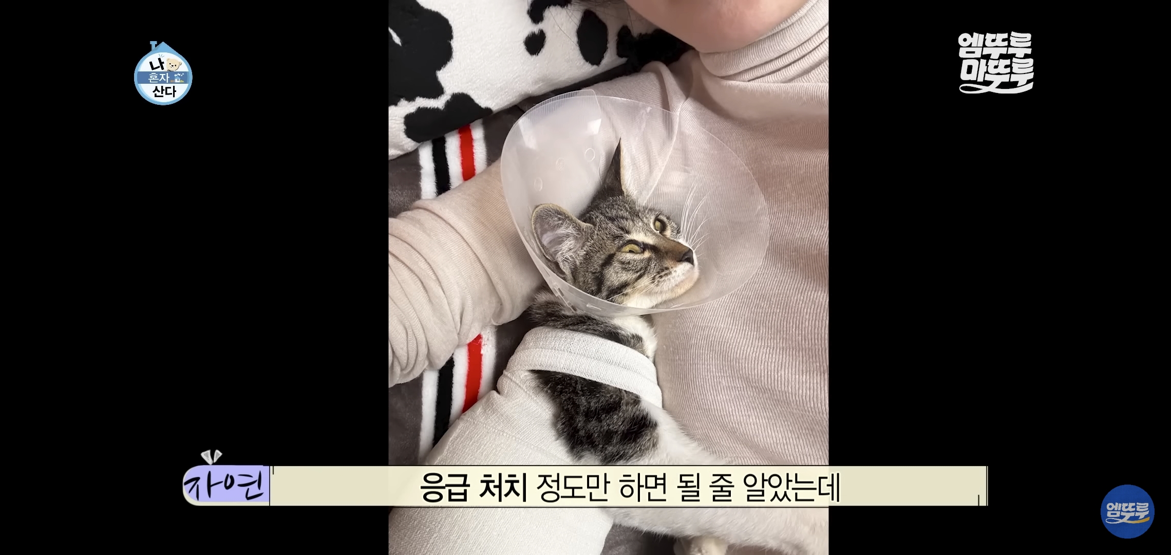 [나혼자산다]-최근-시각장애고양이-구조&입양한-배우-옥자연.jpg-8-이미지