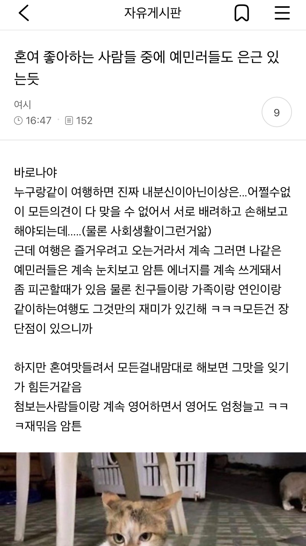 혼여-좋아하는-사람들-중에-예민러들도-은근-있는듯-0-이미지