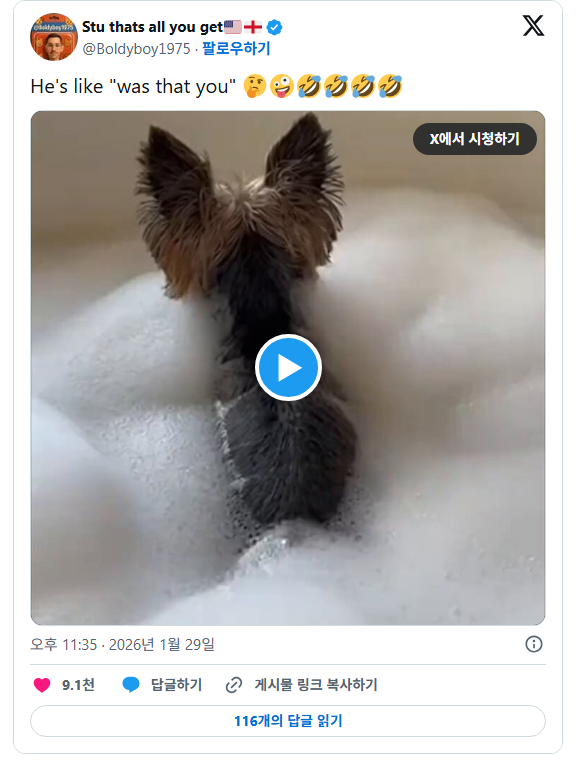 강쥐-방구끼는거-볼-사람-0-이미지