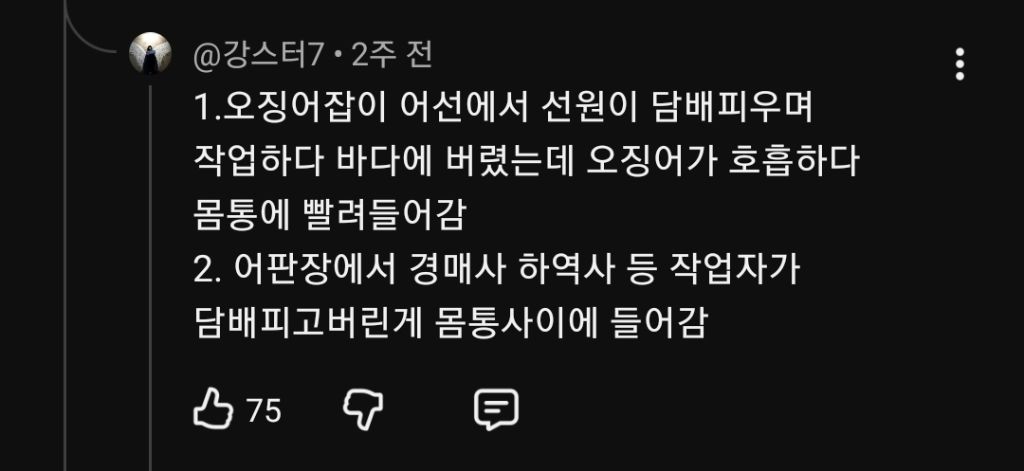 오징어-손질하다-꽁초-발견-0-이미지