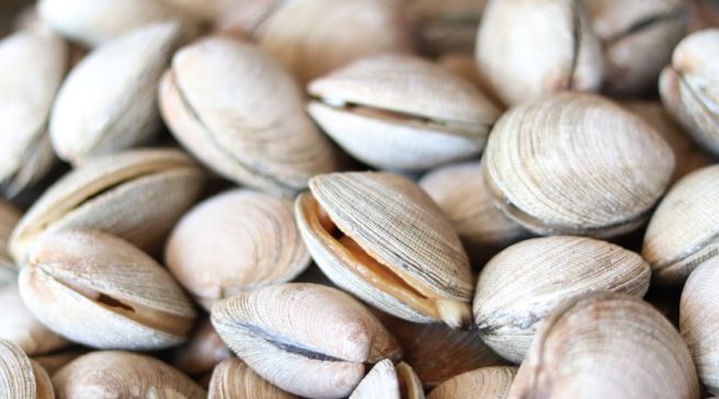 어느-칼국수집은-안내문-2-이미지