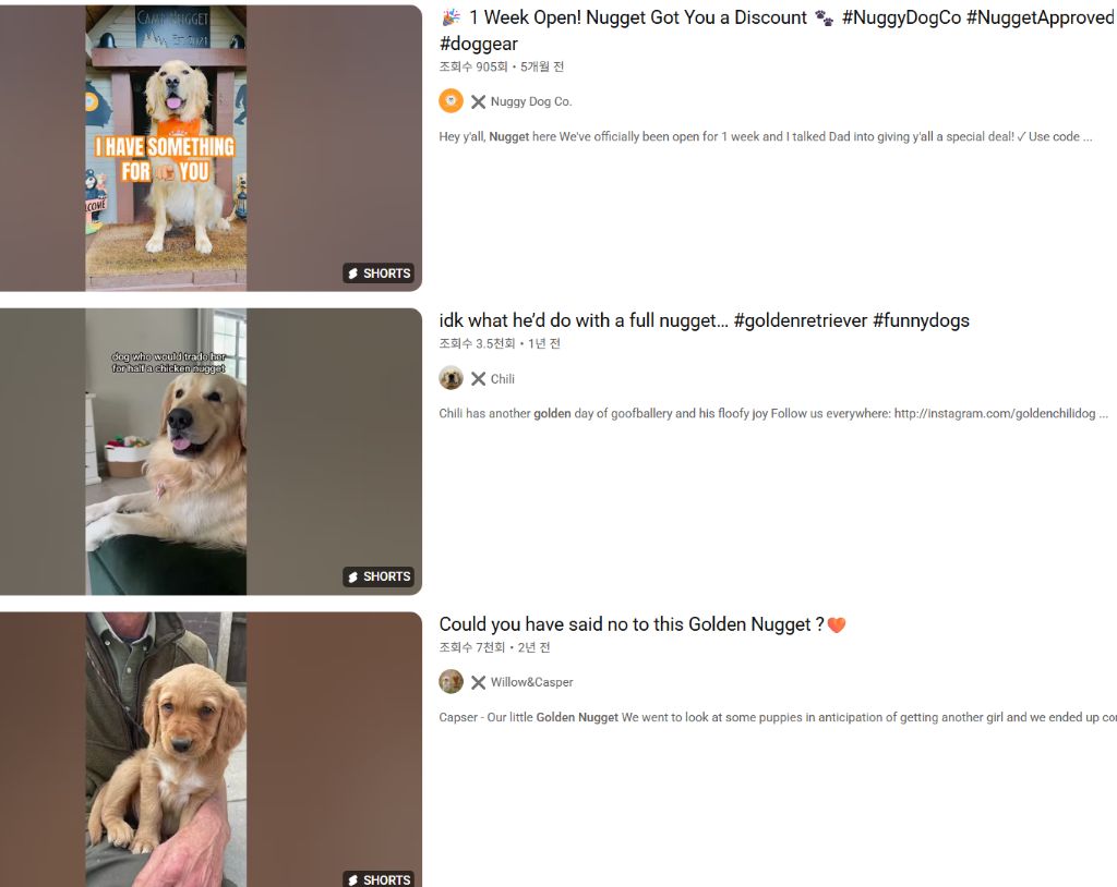 외국에서-골든-리트리버를-부르는-별명-1-이미지