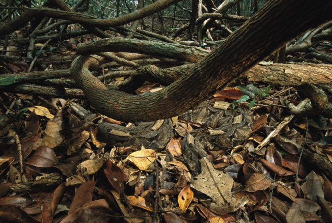 3초-안에-못-찾으면-사망-ㄷㄷ-1-이미지