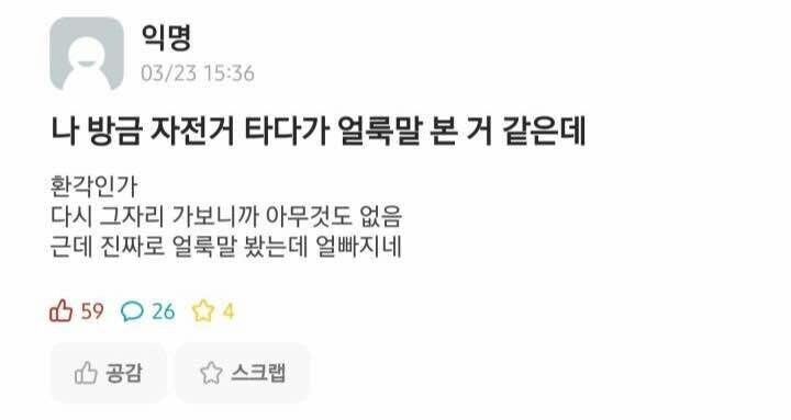 서울에서-얼룩말보고-조현병-의심받은-억울한-대학생-0-이미지