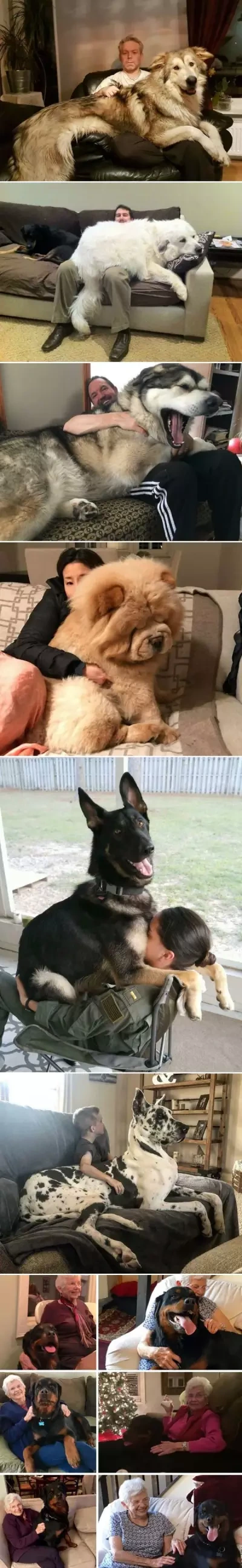 나-정도면-깜찍하게-작은-것-같아-3-이미지