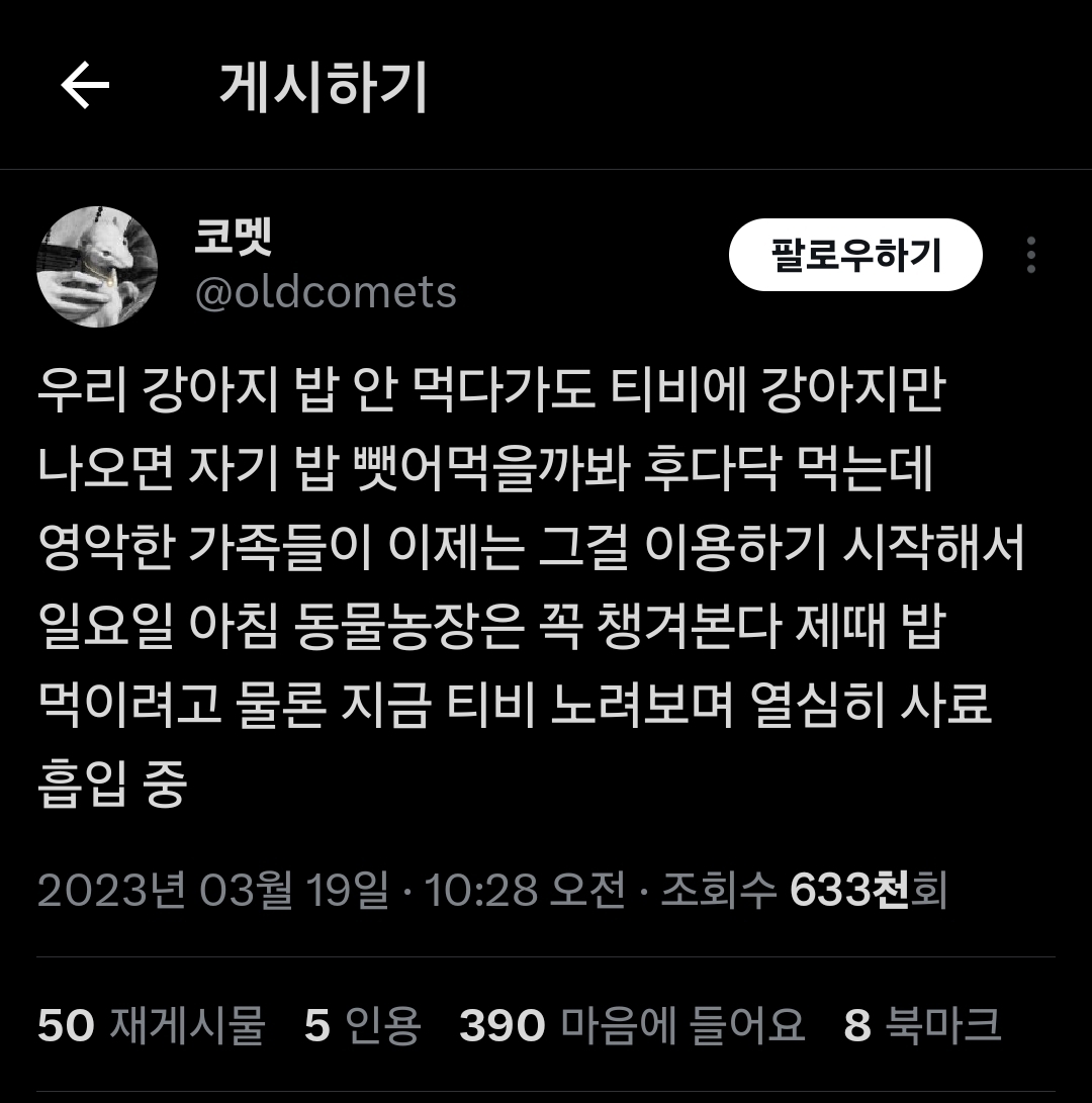 우리-강아지-밥-안-먹다가도-티비에-강아지만-나오면.twt-0-이미지