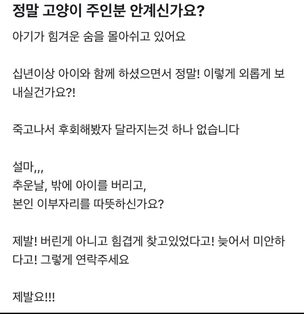 오늘자-당근글-0-이미지