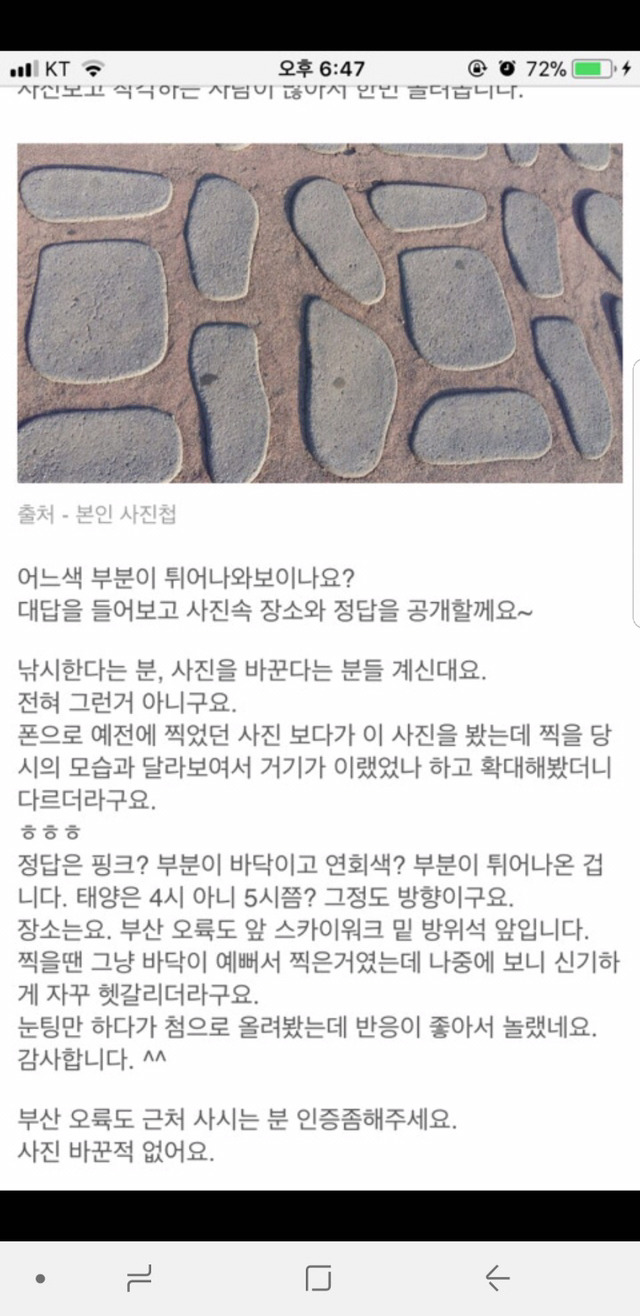 회튀-핑튀-논란-종결-0-이미지